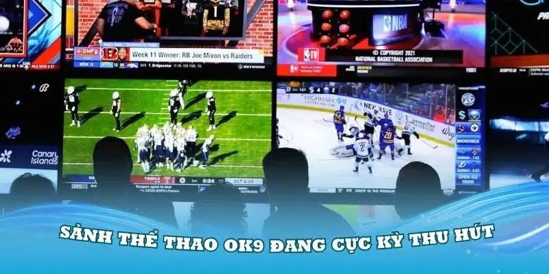 Giới thiệu về sảnh thể thao OK9 đang cực kỳ thu hút